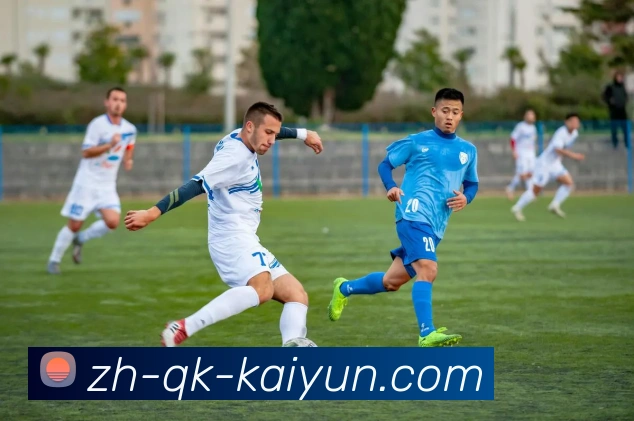 开云app平台生态图